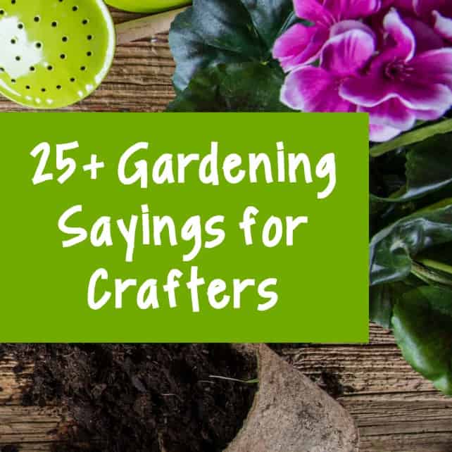 25+ Gardening Sayings for Crafters - Cutting for Business