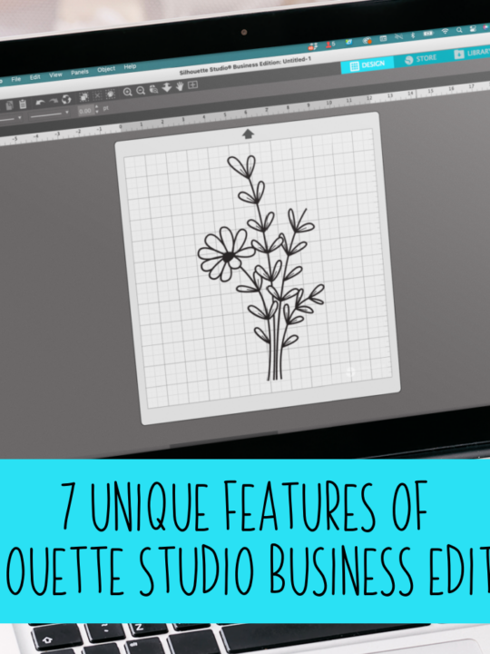 Silhouette Studio Business Edition Is it worth it? Cutting for Business