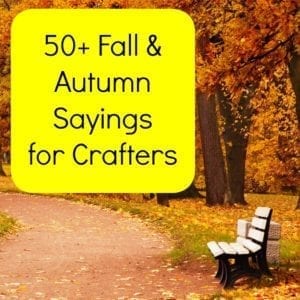 50+ Fall Sayings for Crafters - Perfect for Your Silhouette Cameo or Cricut crafting - by cuttingforbusiness.com