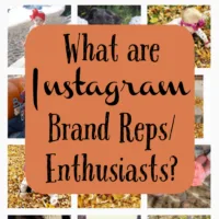 What are Instagram Brand Reps or Enthusiasts? by cuttingforbusiness.com - Make money with your Silhouette Cameo!