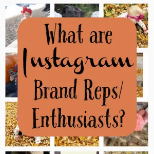 What are Instagram Brand Reps or Enthusiasts? by cuttingforbusiness.com - Make money with your Silhouette Cameo!