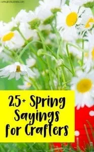 25+ Spring Sayings for Crafters - Perfect for Silhouette Cameo or Cricut Explore Business Owners - by cuttingforbusiness.com
