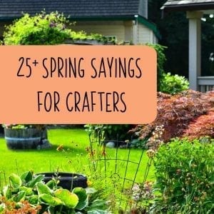 25+ Spring Sayings for Crafters for Cricut Explore or Maker and Silhouette Portrait and Cameo - by cuttingforbusiness.com