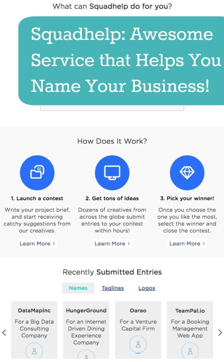 Custom Naming Contests For Small Business By Squadhelp - By ...