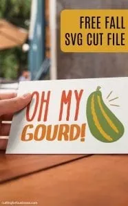 Free 'Oh My GOURD' Fall SVG Cut File for Silhouette Cameo and Cricut Explore - by cuttingforbusiness.com