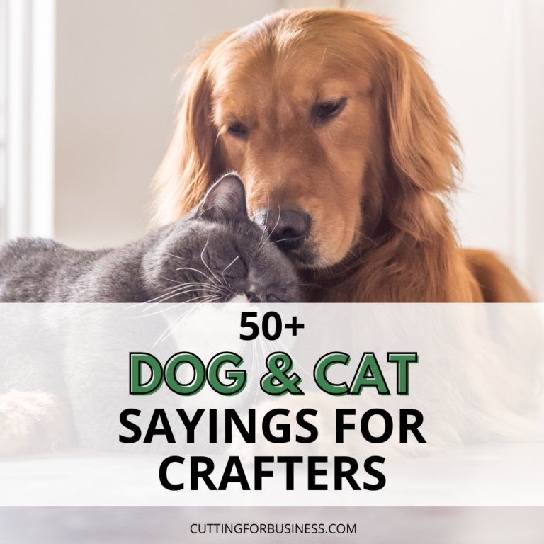 50+ Dog and Cat Sayings for Crafters