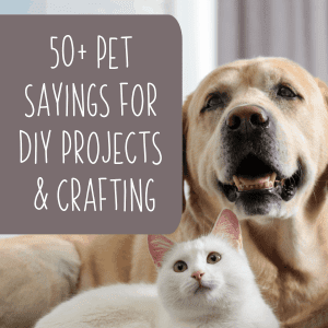 50+ Dog, Cat, Bird, Reptile, Fish Sayings for DIY and Crafting - Silhouette Portrait or Cameo and Cricut Explore or Maker - by cuttingforbusiness.com.