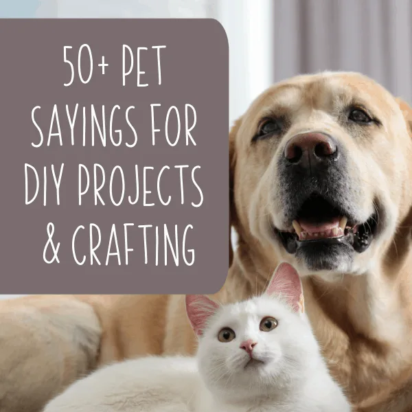 50+ Dog, Cat, Bird, Reptile, Fish Sayings for DIY and Crafting - Silhouette Portrait or Cameo and Cricut Explore or Maker - by cuttingforbusiness.com.