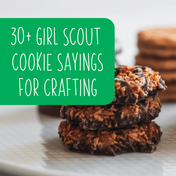 30+ Girl Scout Cookie Sayings For Crafters - Cutting For Business
