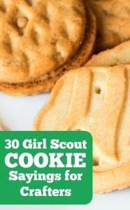 30 Girl Scout Cookie Sayings for Silhouette Portrait or Cameo and Cricut Explore or Maker Crafters - by cuttingforbusiness.com