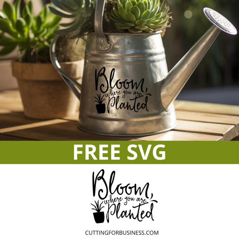 Free Spring SVG – Bloom Where You Are Planted