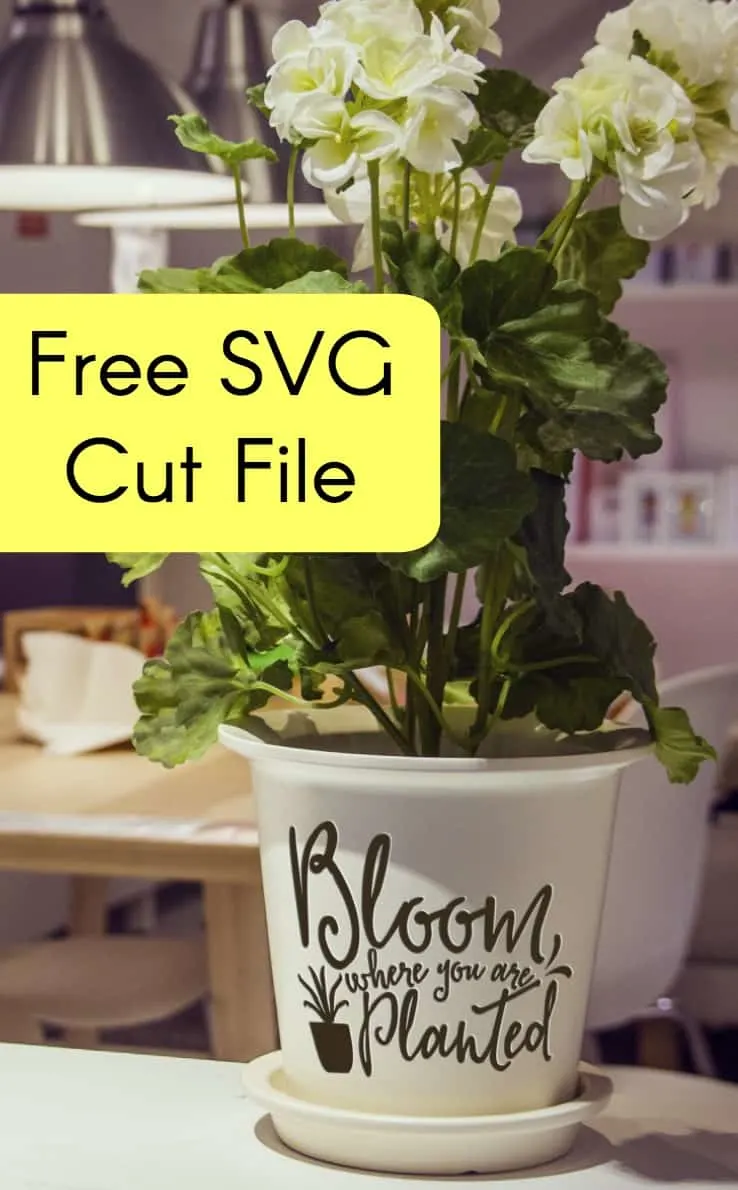 Free 'Bloom Where You Are Planted' SVG Cut File for Silhouette Portrait or Cameo and Cricut Explore or Maker - by cuttingforbusiness.com.
