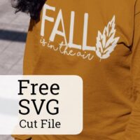 Free 'Fall is in the Air' SVG Cut File for Silhouette Portrait or Cameo and Cricut Explore or Maker - by cuttingforbusiness.com