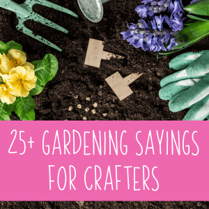 25+ Garden and Gardening Sayings for Silhouette and Cricut (Portrait, Cameo, Curio, Mint, Explore, Maker, and Joy) Crafters - by cuttingforbusiness.com.