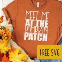 Free 'Meet Me at the Pumpkin Patch' Fall SVG for Silhouette Portrait or Cameo and Cricut Explore or Maker - by cuttingforbusiness.com