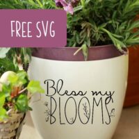Free Spring 'Bless My Blooms' Gardening SVG Cut File for Silhouette Portrait or Cameo and Cricut Explore or Maker - by cuttingforbusiness.com