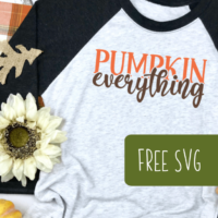 Free Commercial Use 'Pumpkin Everything' SVG Cut File for Silhouette Portrait or Cameo and Cricut Explore or Maker - by cuttingforbusiness.com.