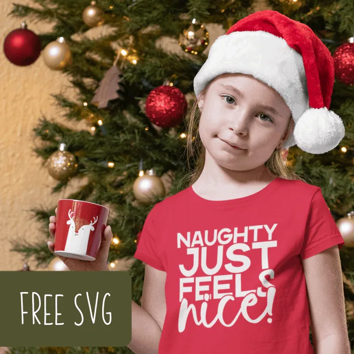 Free SVG 'Naughty Just Feels Nice' Cut File for Silhouette or Cricut (Portrait, Cameo, Curio, Mint, Explore, Maker, Joy) - by cuttingforbusiness.com.
