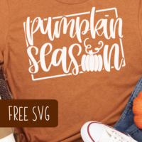 Free Pumpkin Season SVG Cut File for Silhouette or Cricut, including Portrait, Cameo, Curio, Mint, Explore, Maker, Joy - by cuttingforbusiness.com.