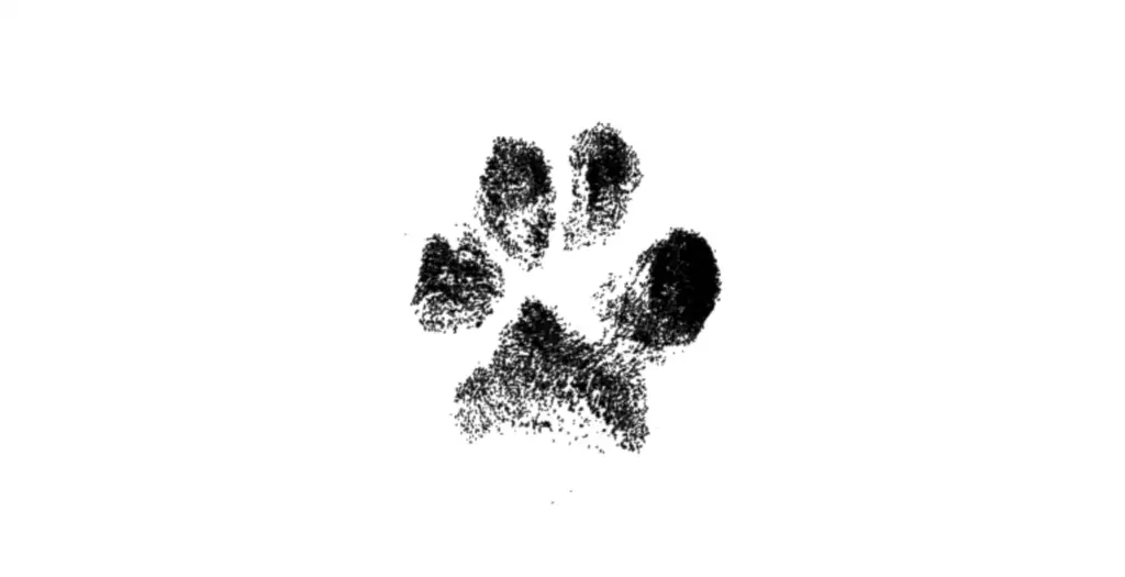 xTool M1 Tutorial: Engraved Pet Paw Print Jewelry - Paw print scanned - cuttingforbusiness.com