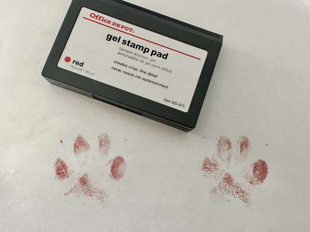 xTool M1 Tutorial: Engraved Pet Paw Print Jewelry - Stamp pad - cuttingforbusiness.com