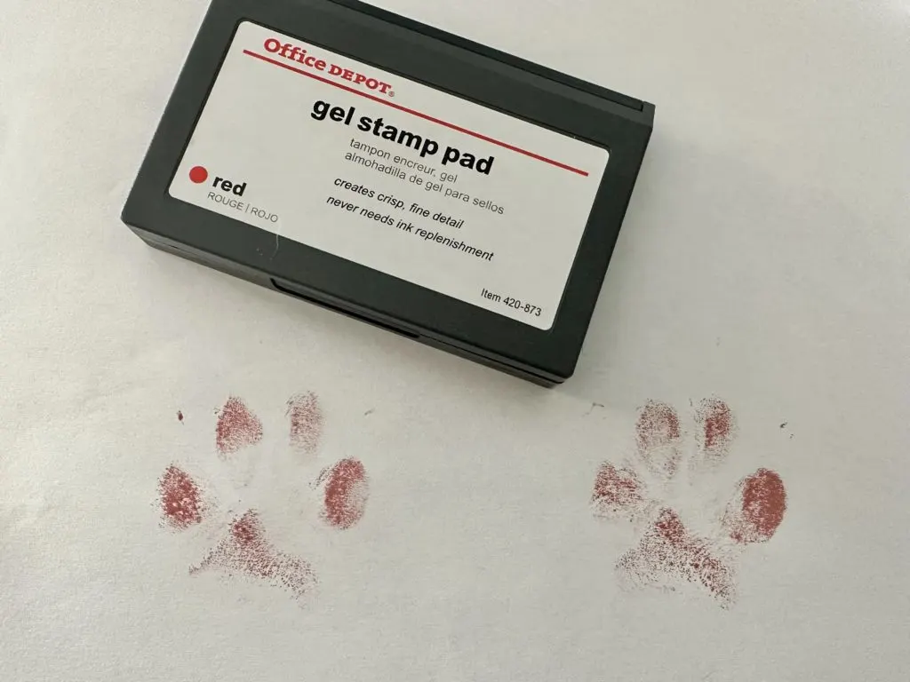 Tutorial: Engraved Paw Print Jewelry with xTool M1 - Cutting for Business