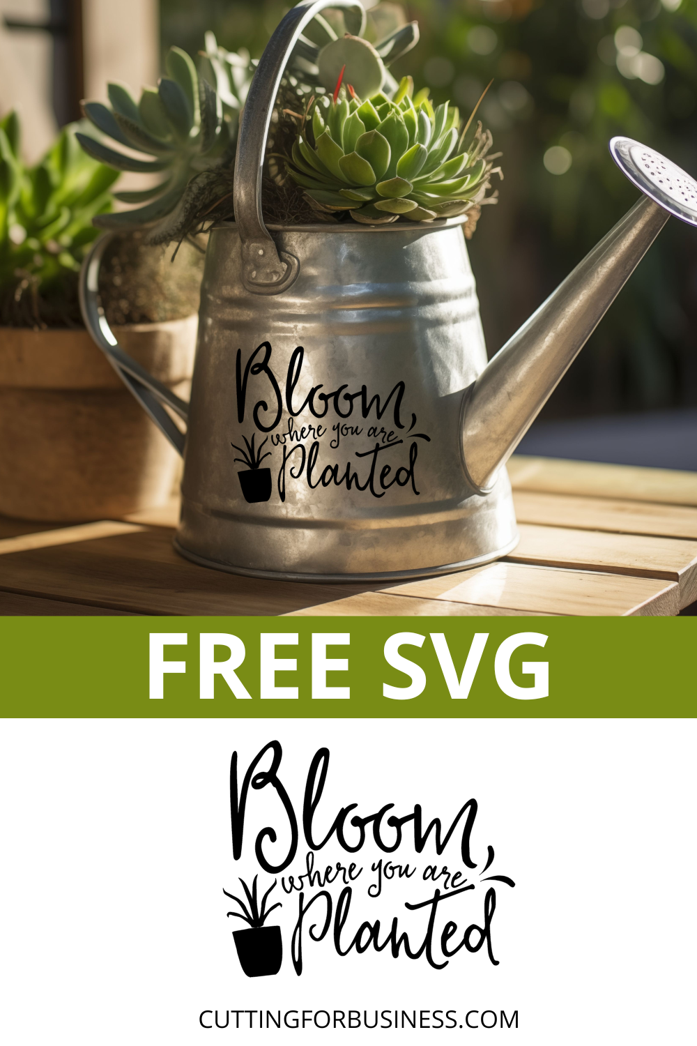 Free Spring SVG - Bloom Where You Are Planted - cuttingforbusiness.com