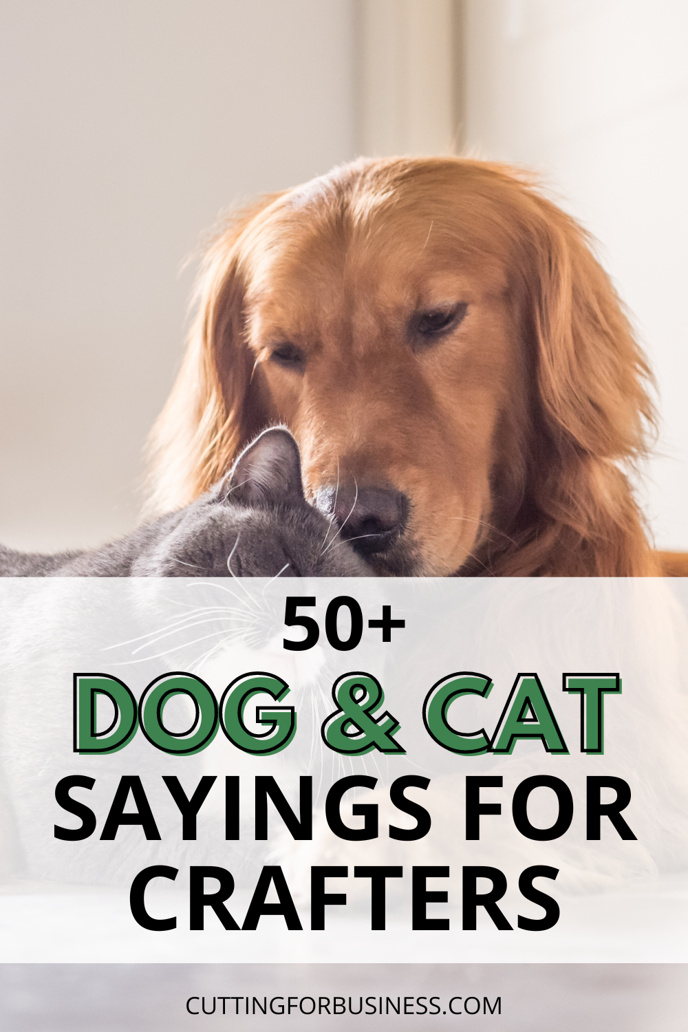 50+ Dog and Cat Sayings for Crafters - cuttingforbusiness.com