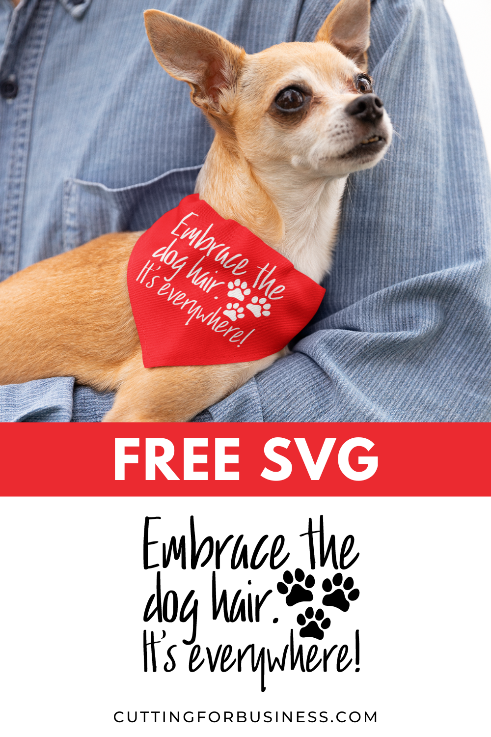 Free Dog Hair SVG -Embrace the Dog Hair. It's Everywhere! - cuttingforbusiness.com