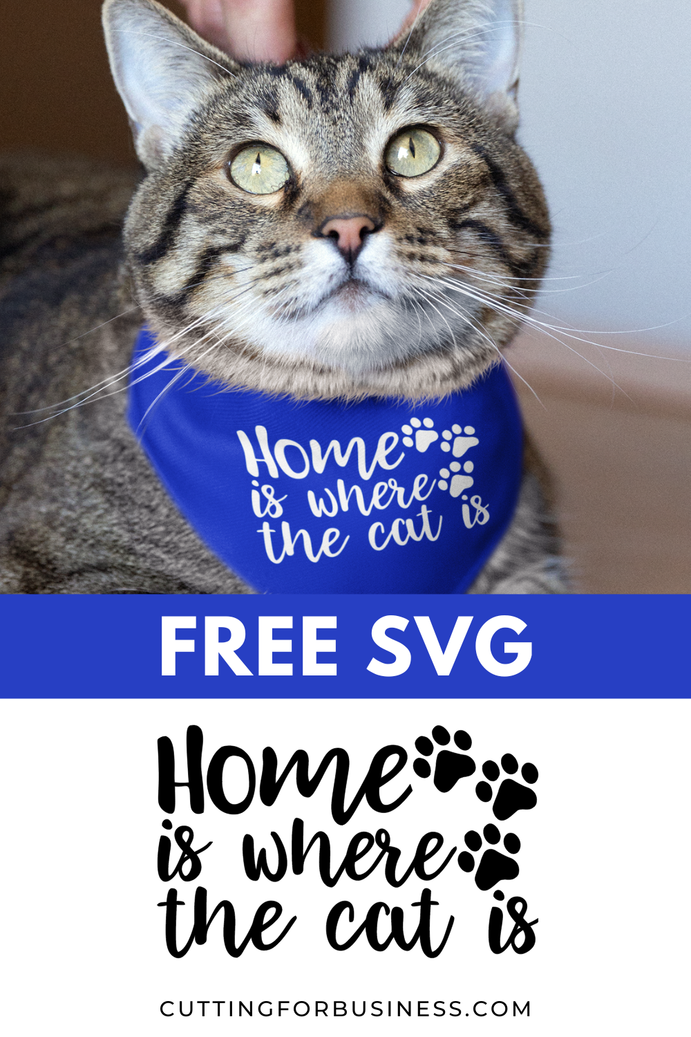 Free Cat SVG - Home is Where the Cat Is - cuttingforbusiness.com